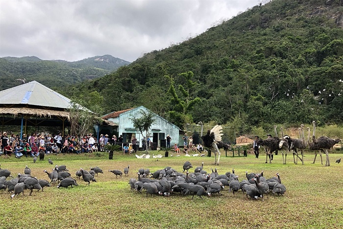 Khu du lịch Đảo Hoa Lan khai trương Khu trưng bày đa dạng sinh học rừng Khánh Hòa và biểu diễn xiếc chim